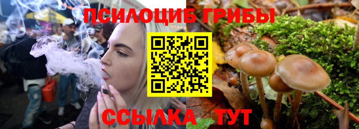 Галлюциногенные грибы GOLDEN TEACHER  Галлюциногенные грибы GOLDEN TEACHER  Вход с VPN  Чебаркуль 